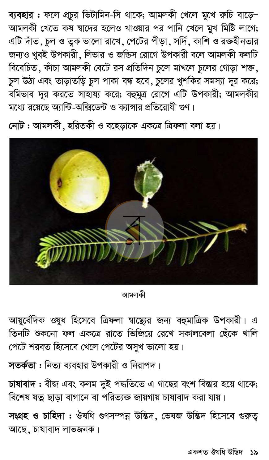 পাতা 12