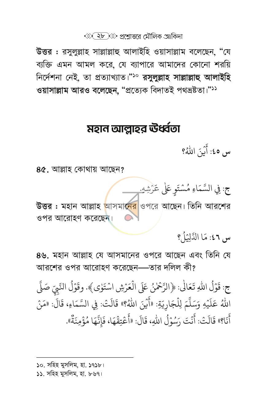 পাতা 11