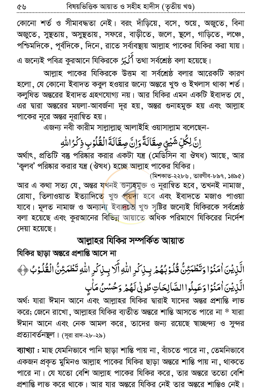 পাতা 11