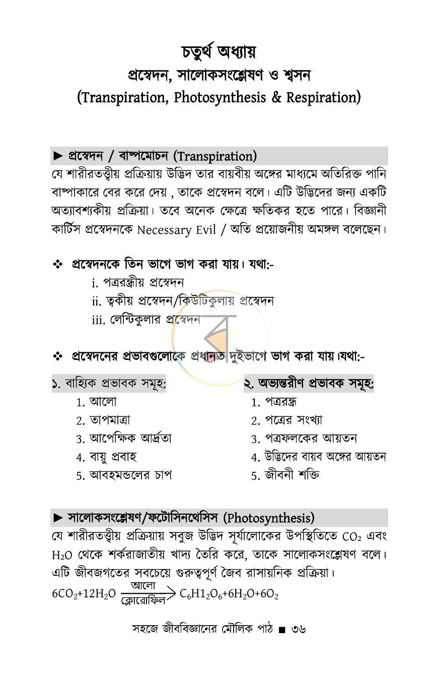 পাতা 10