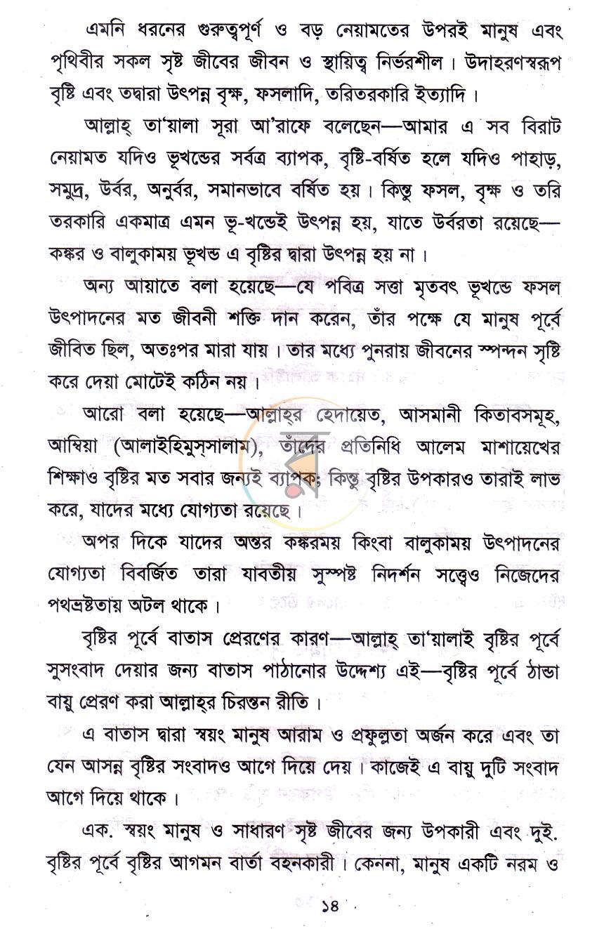 পাতা 8