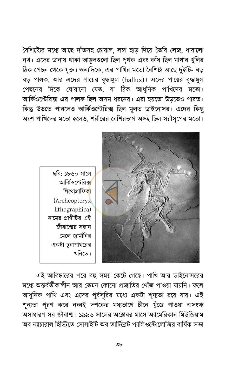 পাতা 12