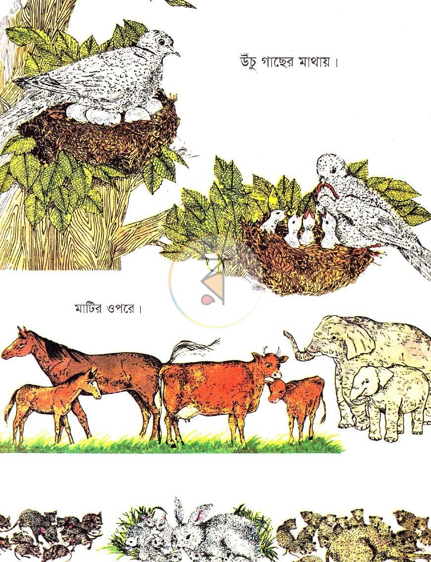 পাতা 3