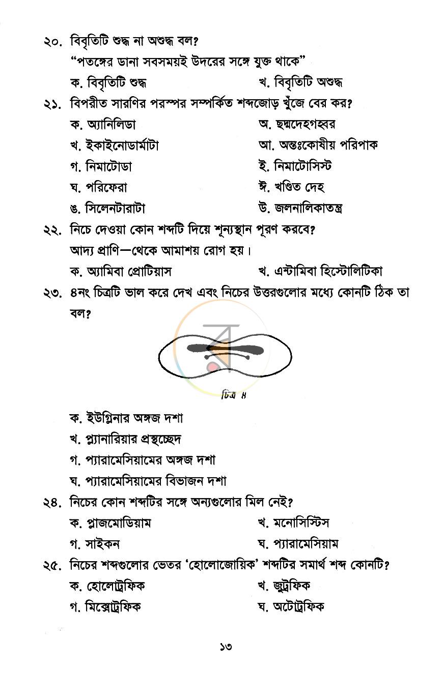 পাতা 8