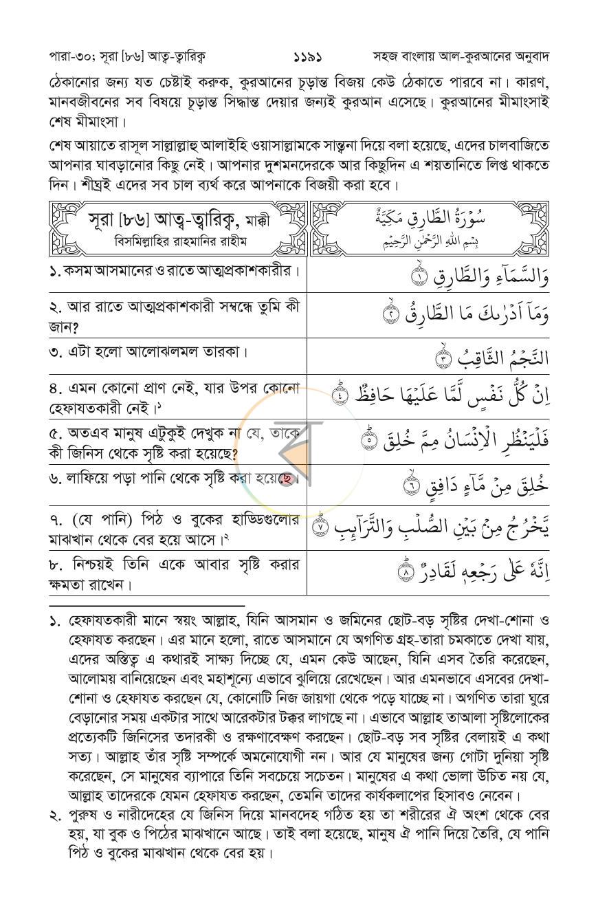 পাতা 12