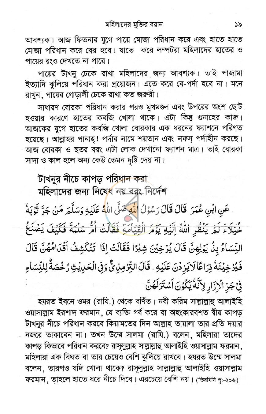 পাতা 11