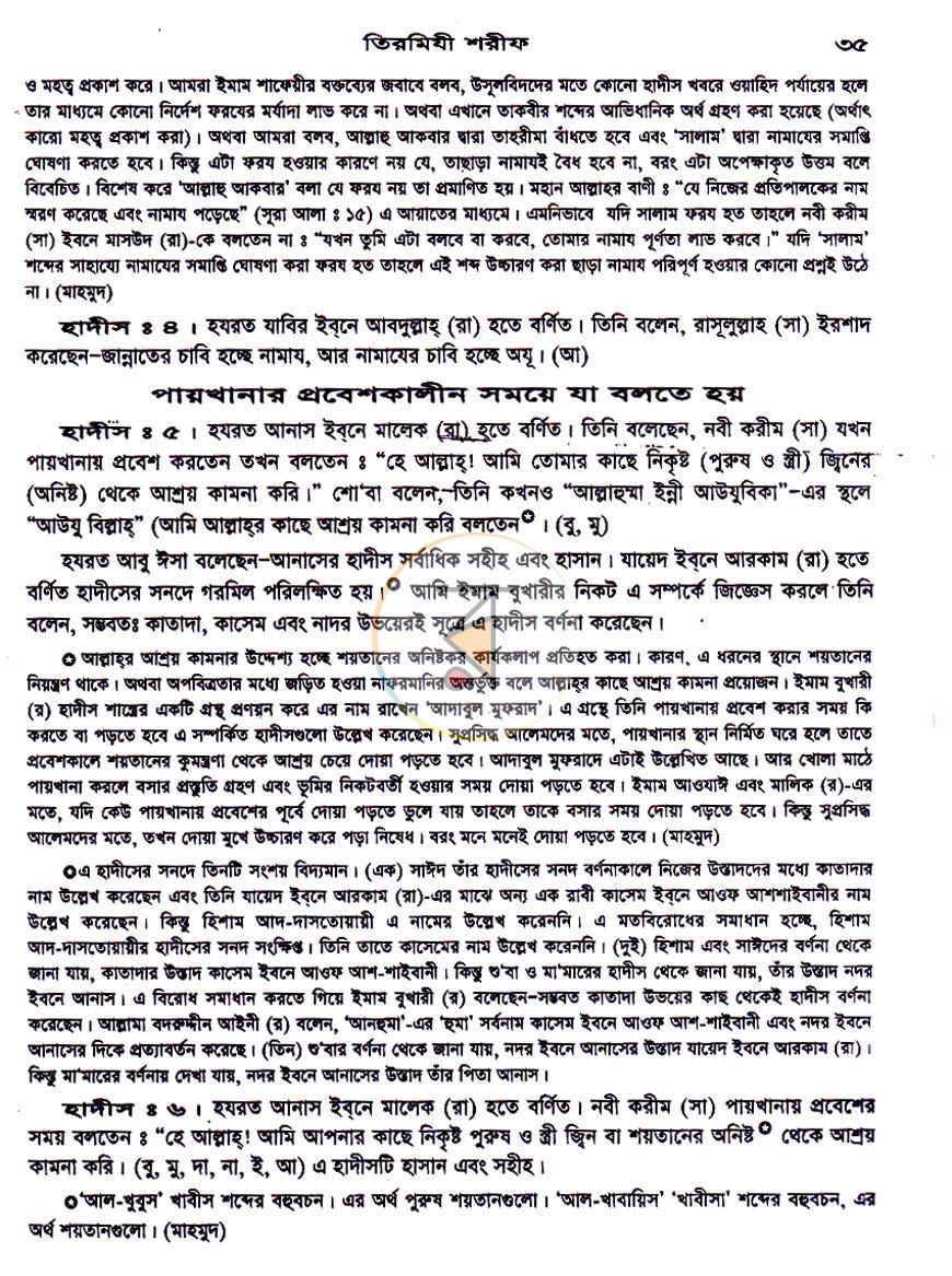 পাতা 10