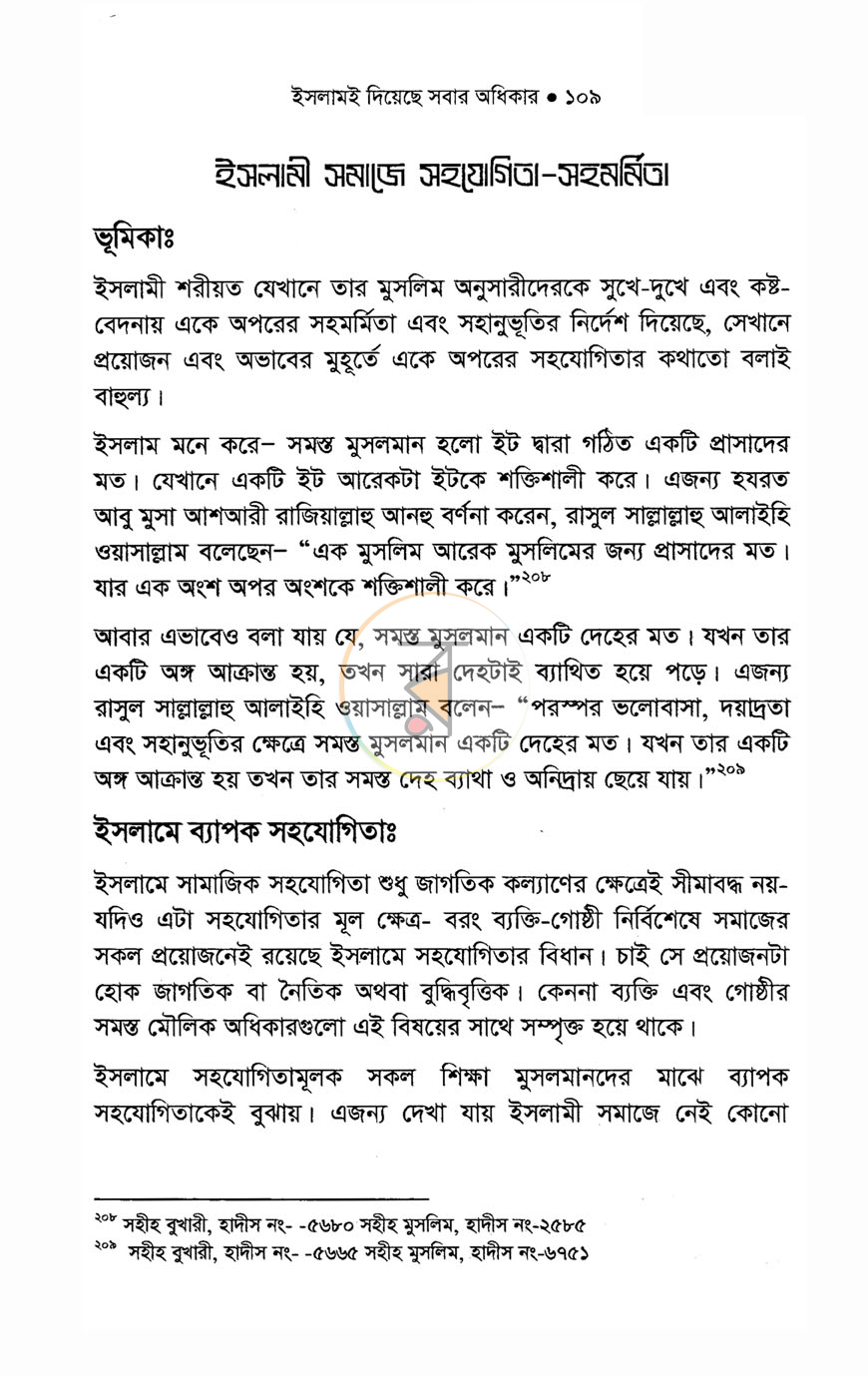 পাতা 11