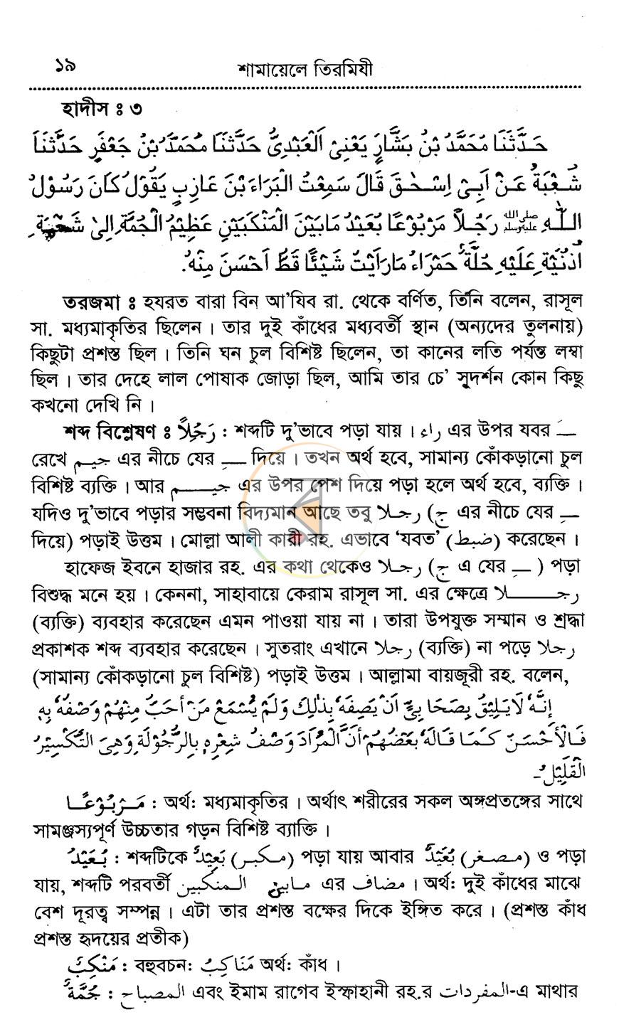 পাতা 11