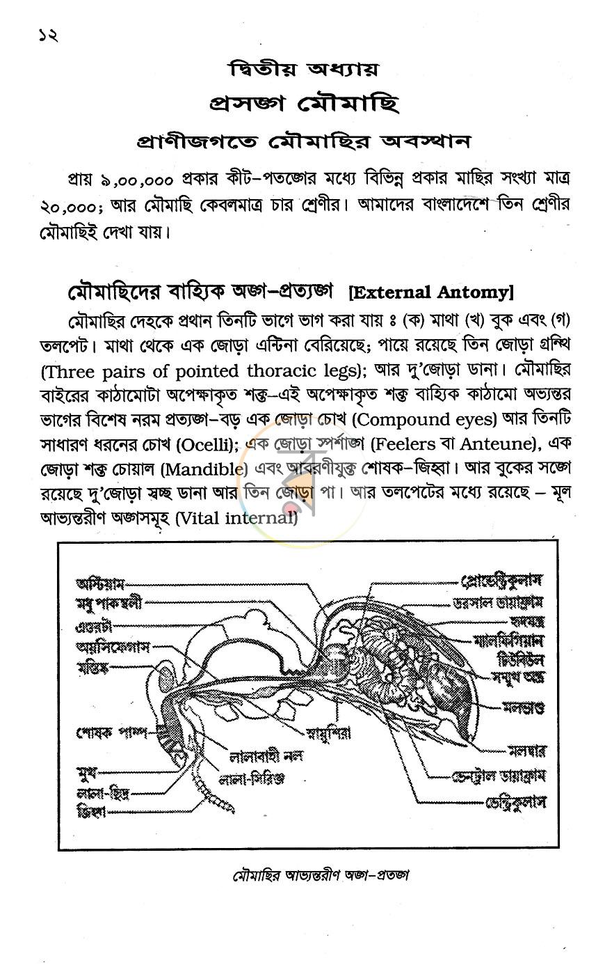 পাতা 7