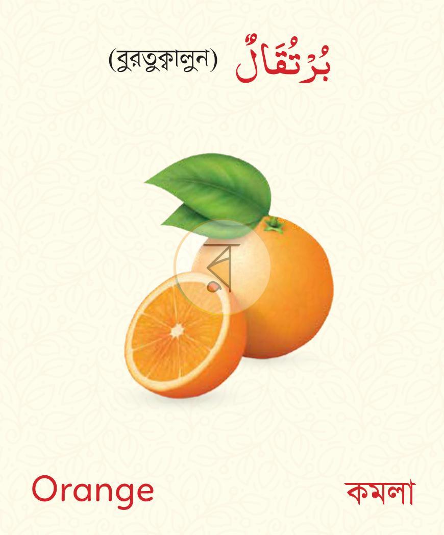 পাতা 2