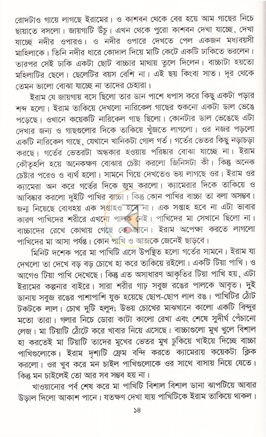 পাতা 11