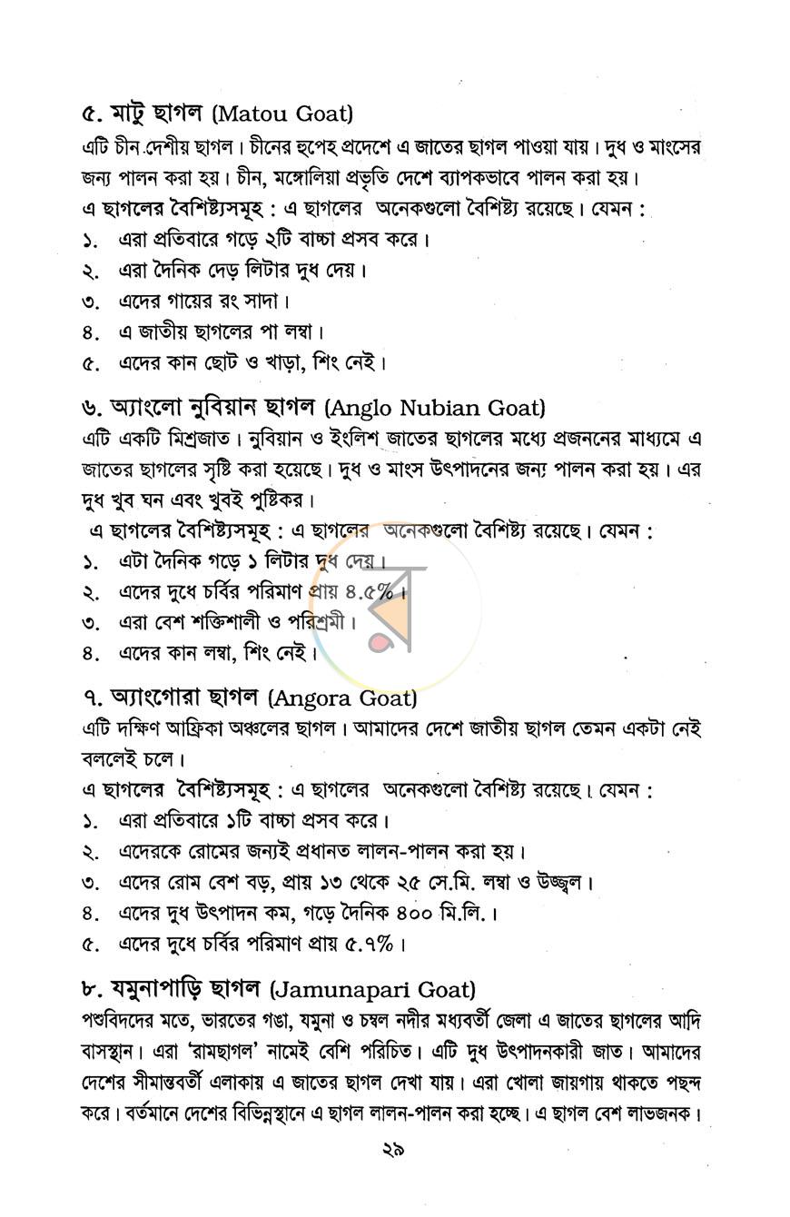 পাতা 12