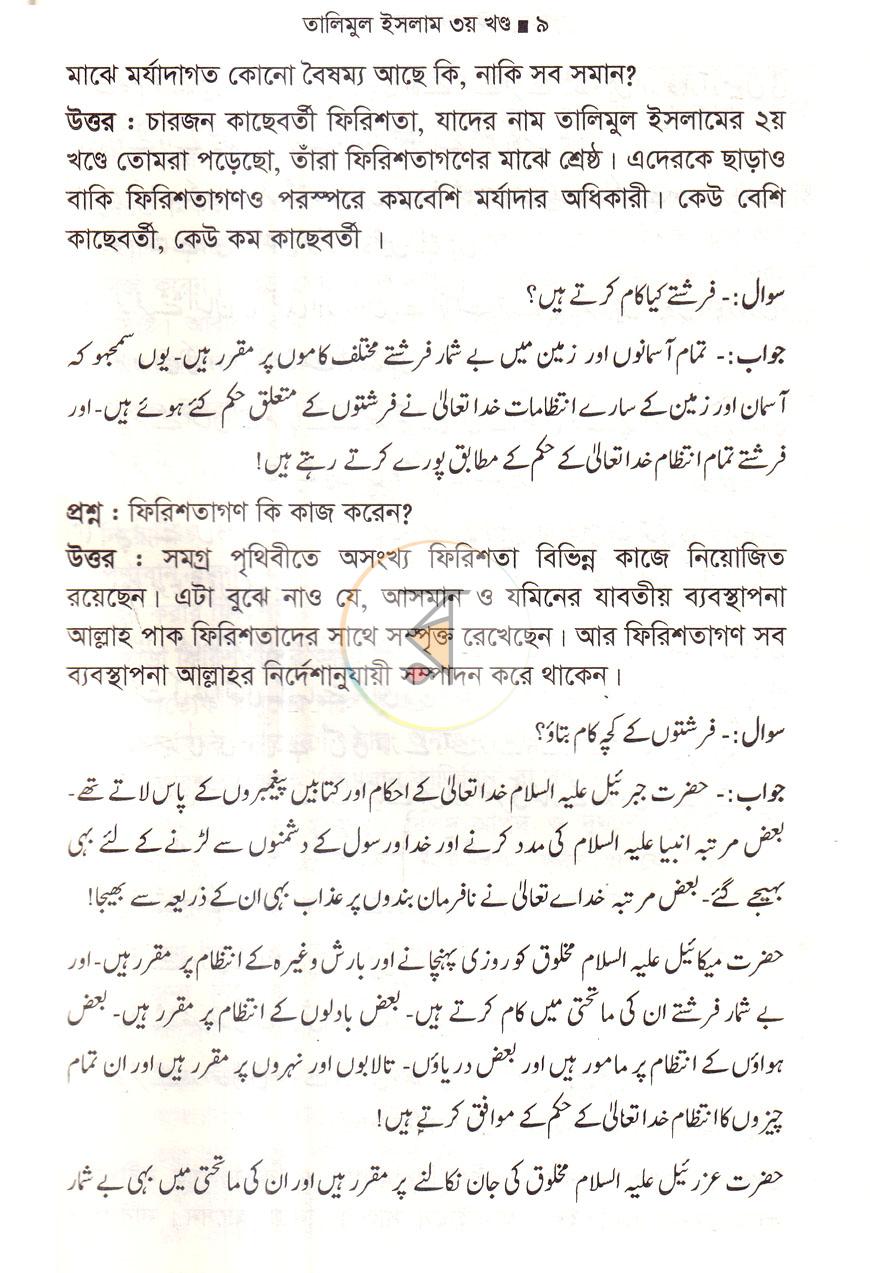 পাতা 8