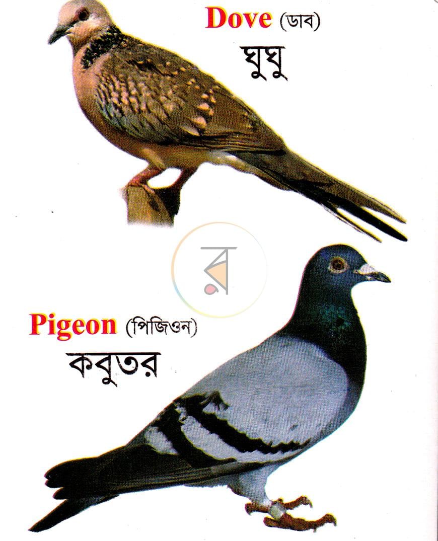 পাতা 2