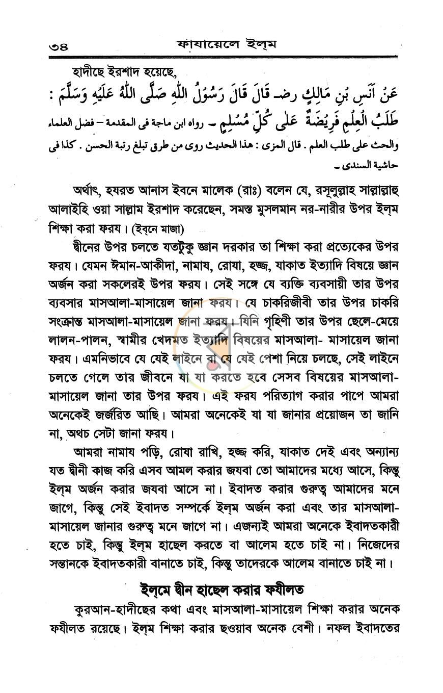 পাতা 8