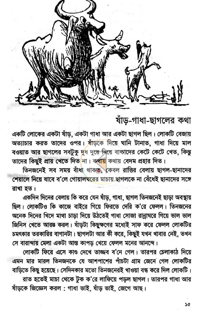 পাতা 8