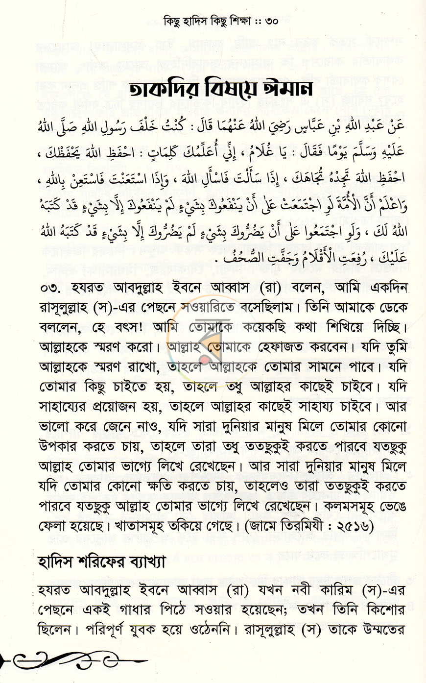 পাতা 11