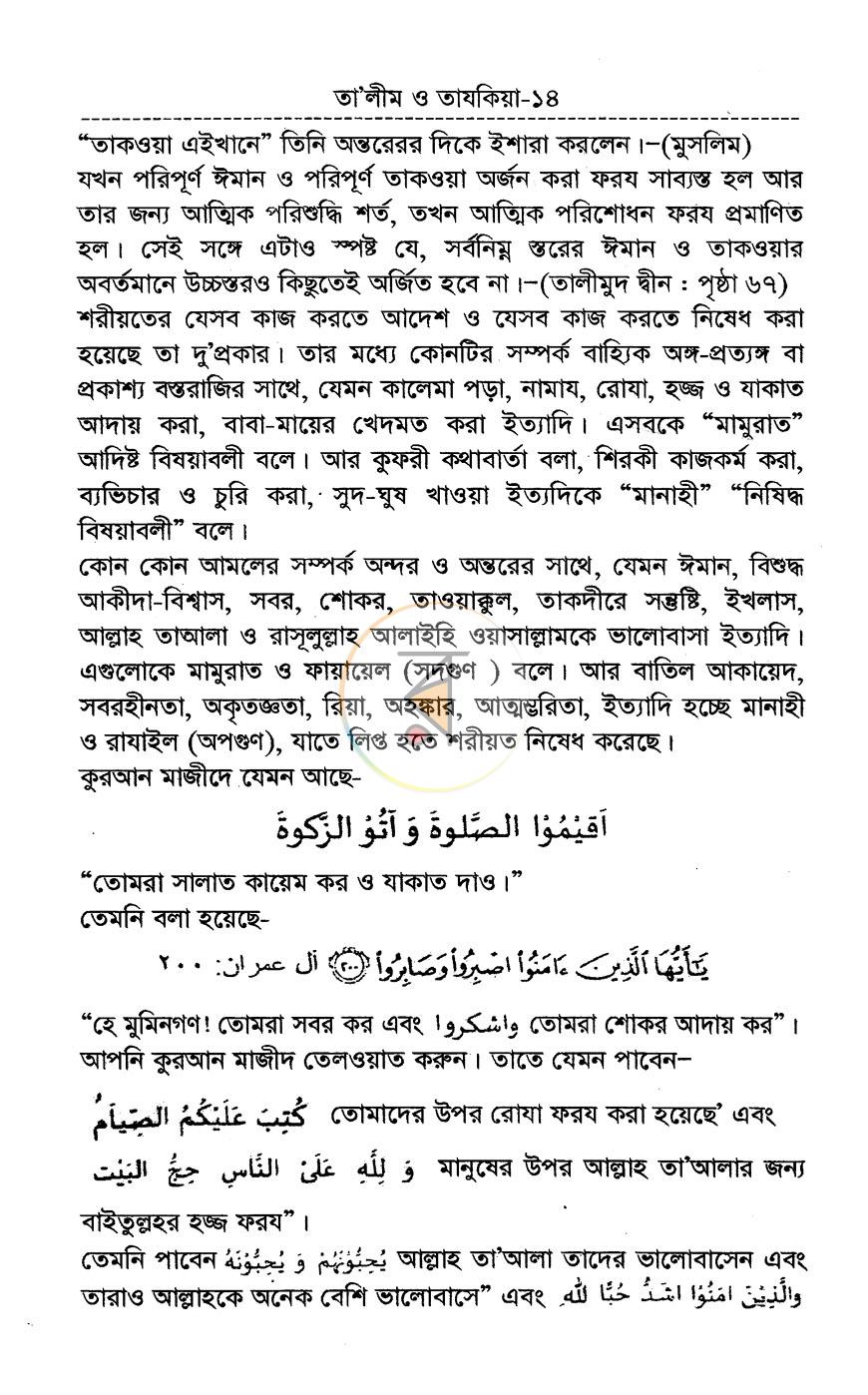 পাতা 13