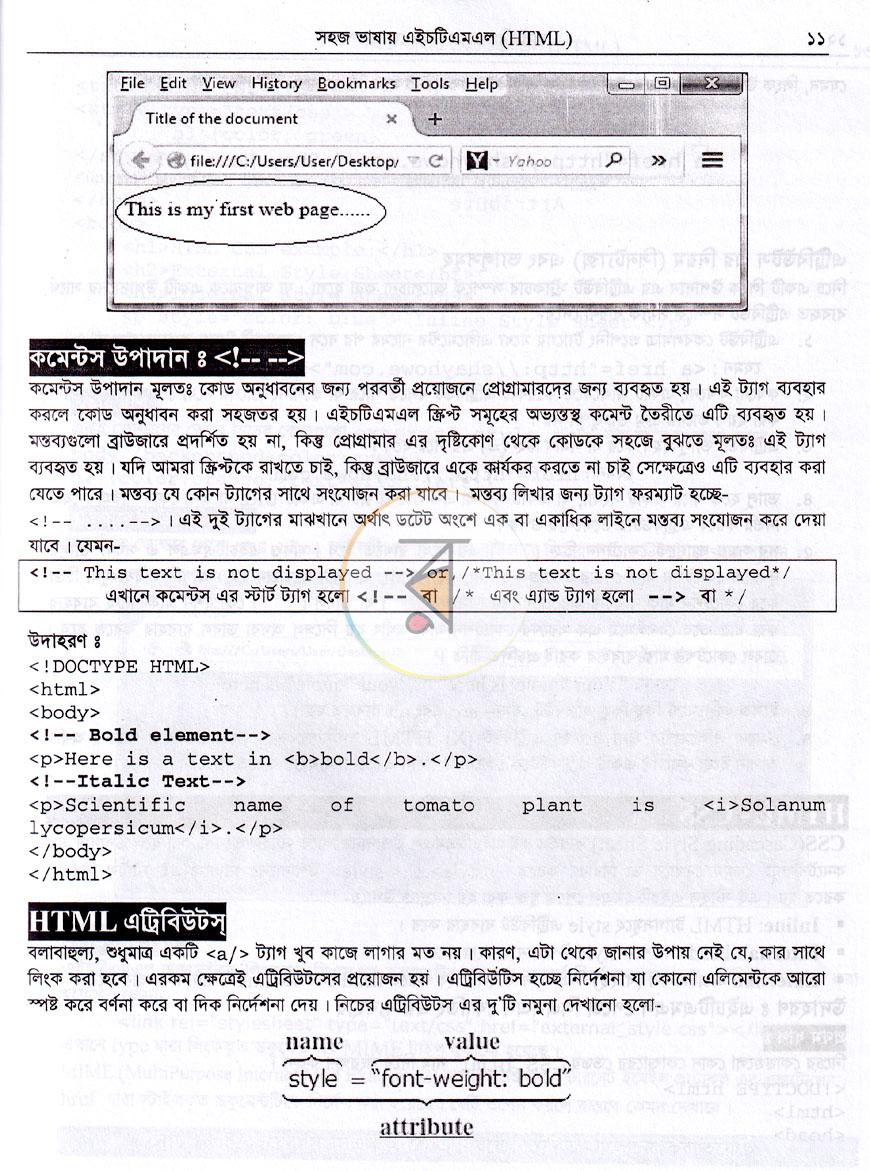পাতা 11