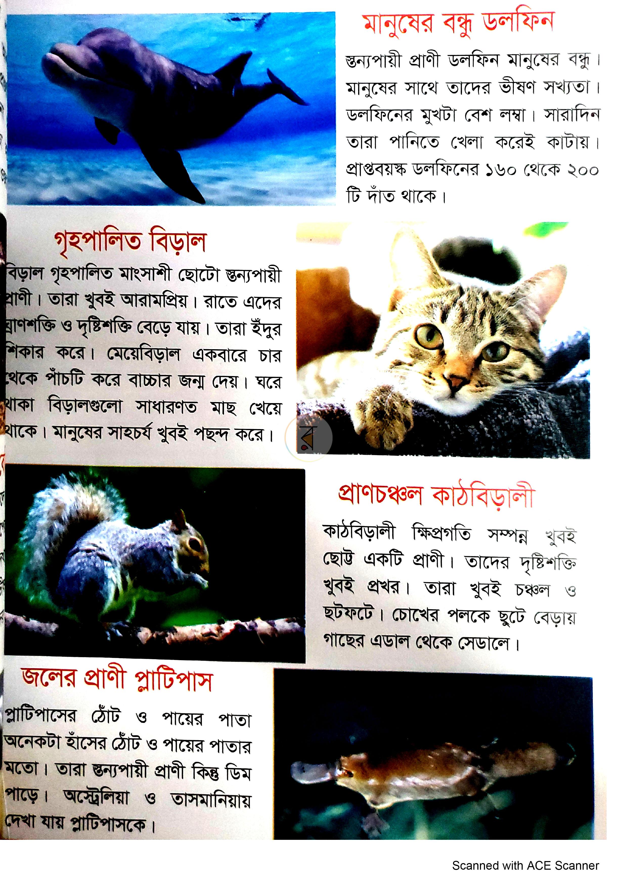 পাতা 3