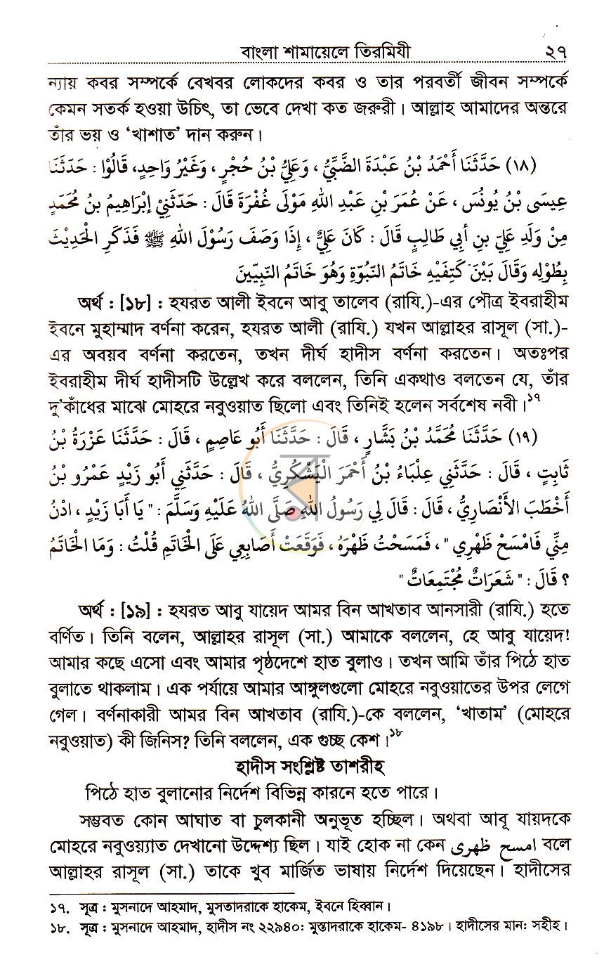 পাতা 10