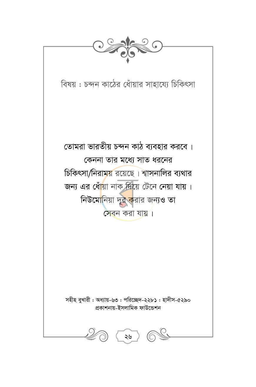 পাতা 17