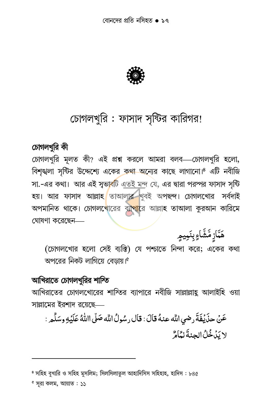 পাতা 13