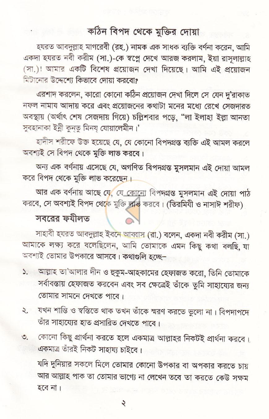 পাতা 11