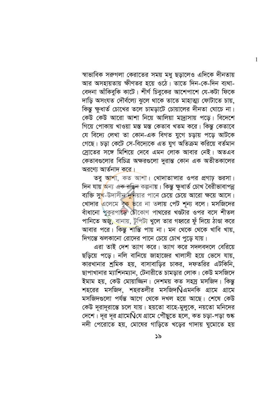 পাতা 19
