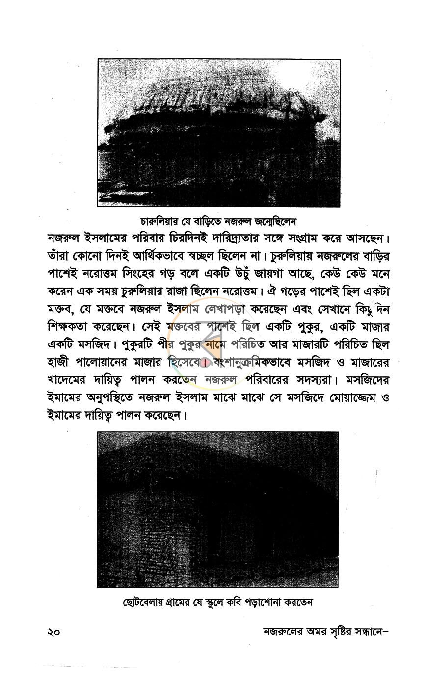 পাতা 8