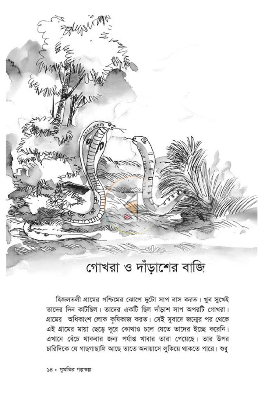 পাতা 8