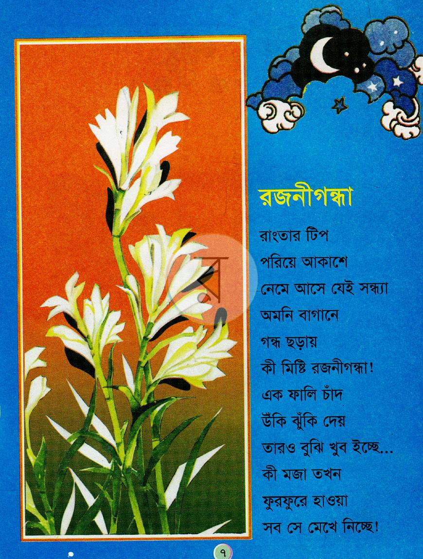 পাতা 6