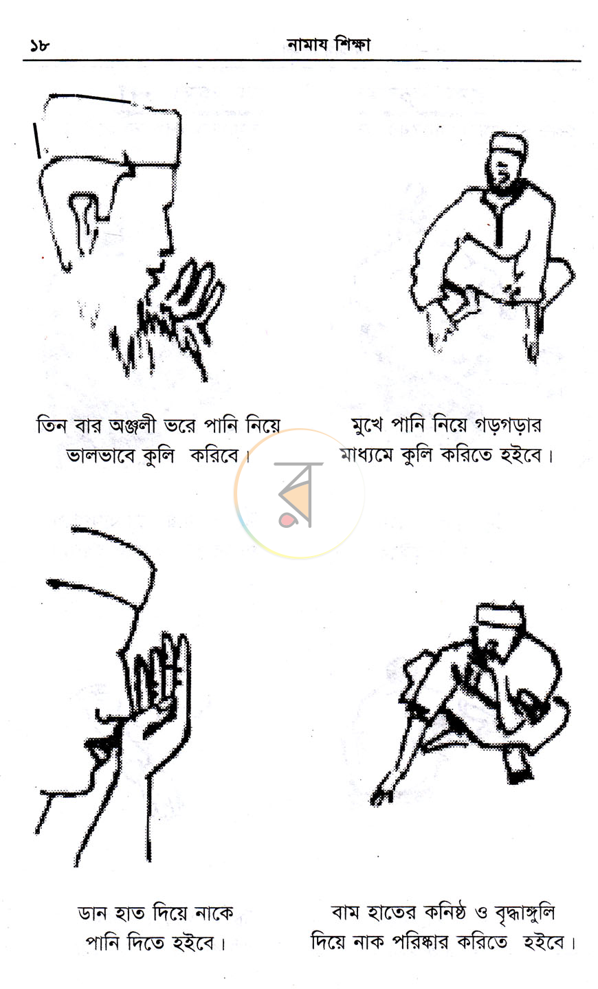 পাতা 7