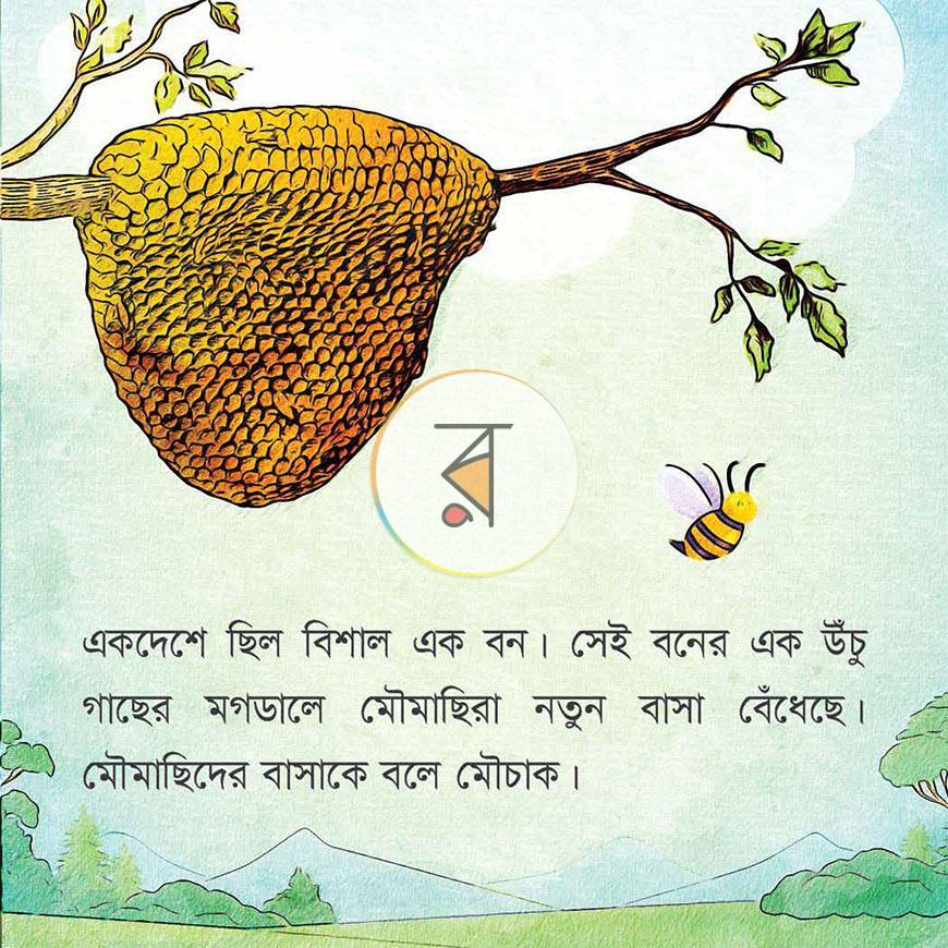 পাতা 14