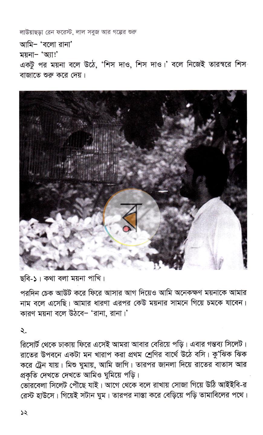 পাতা 9