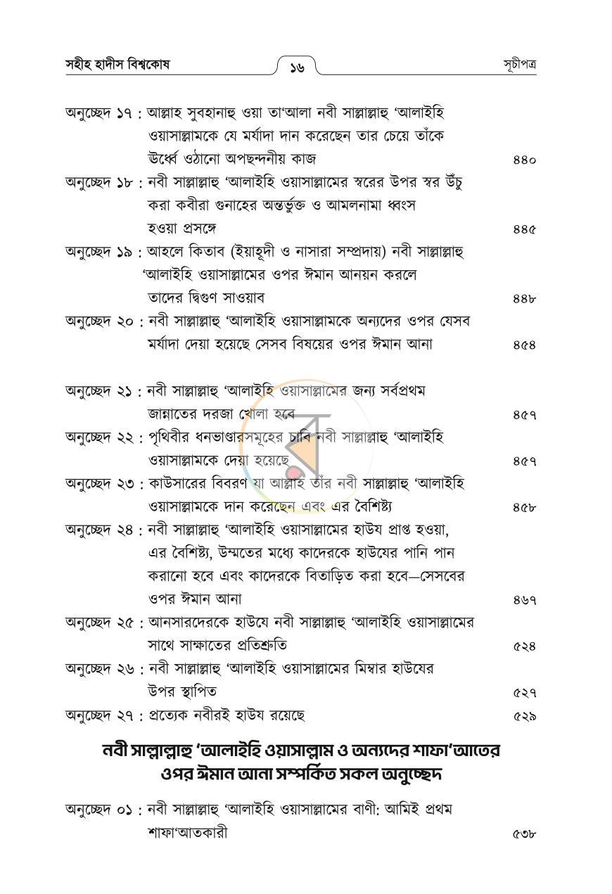 পাতা 13