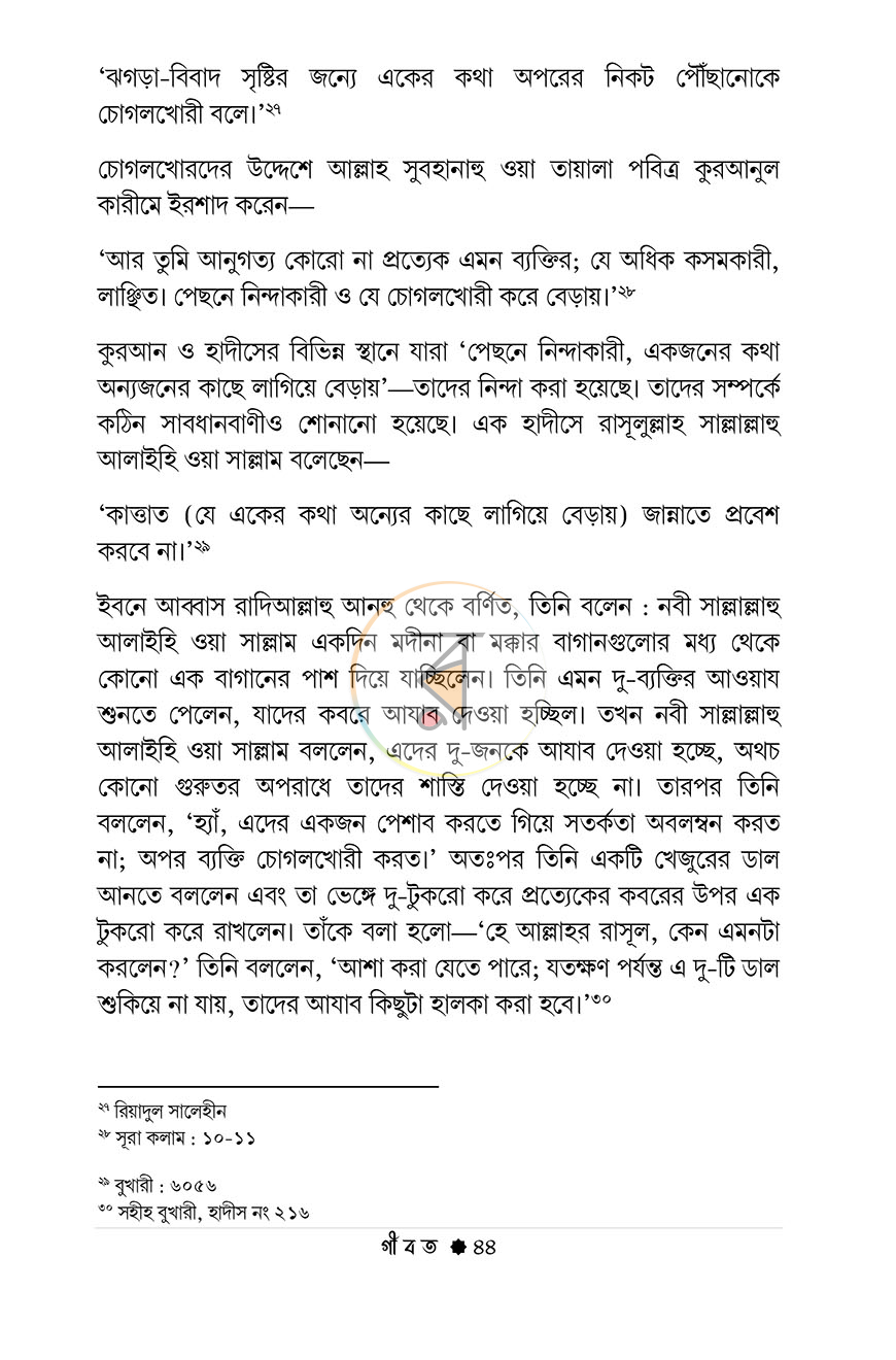 পাতা 11