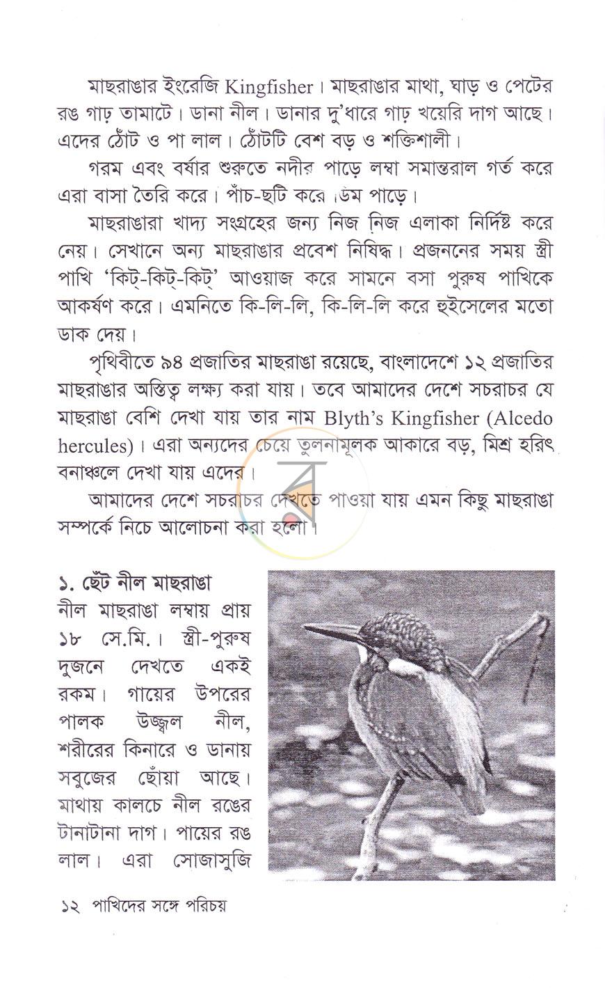 পাতা 9