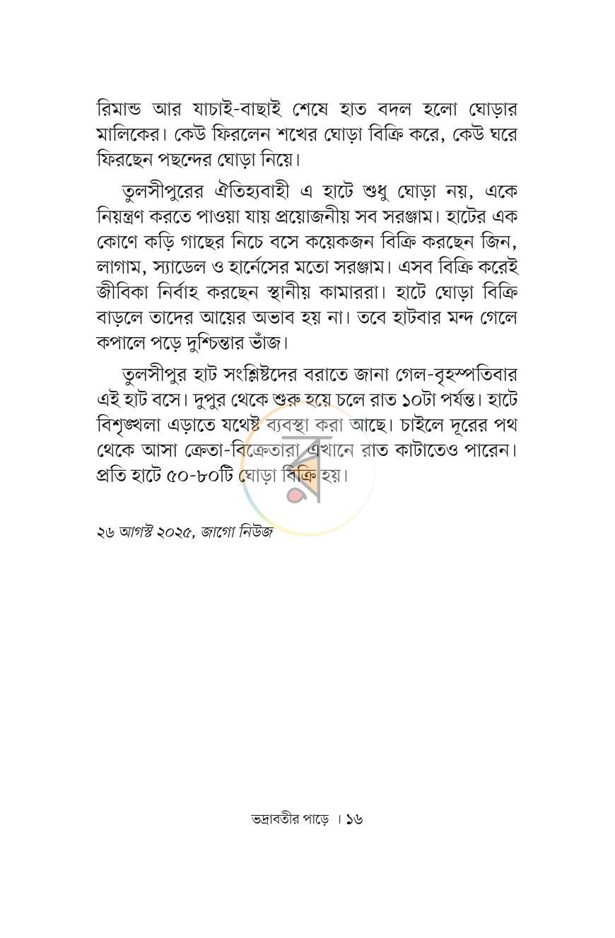 পাতা 13