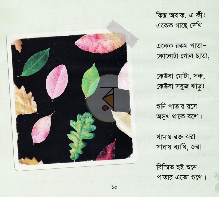 পাতা 4