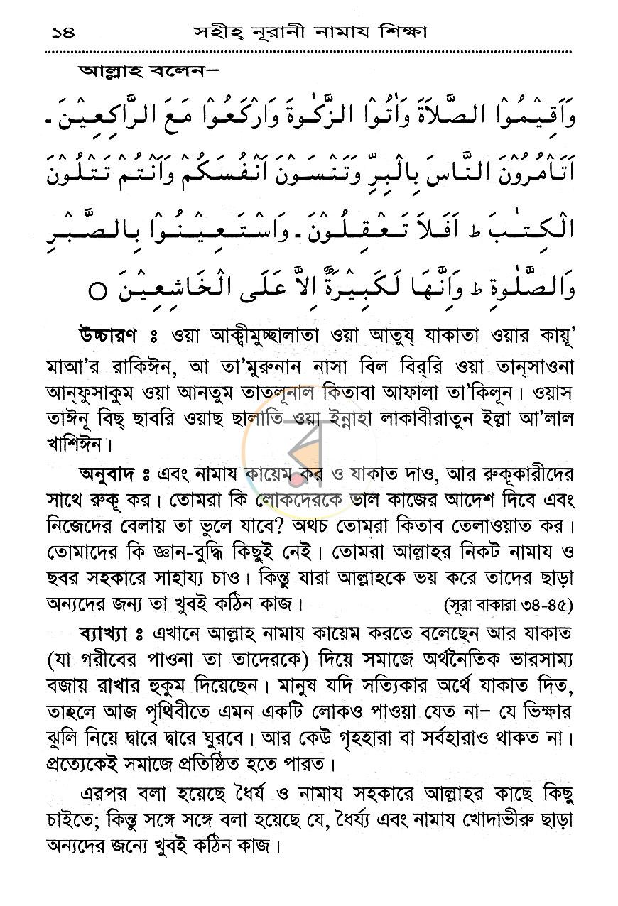 পাতা 13