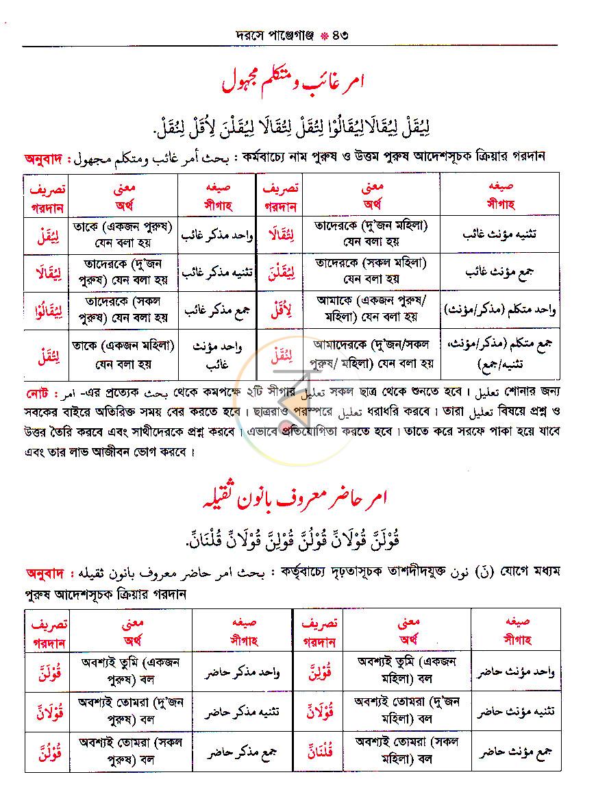 পাতা 20