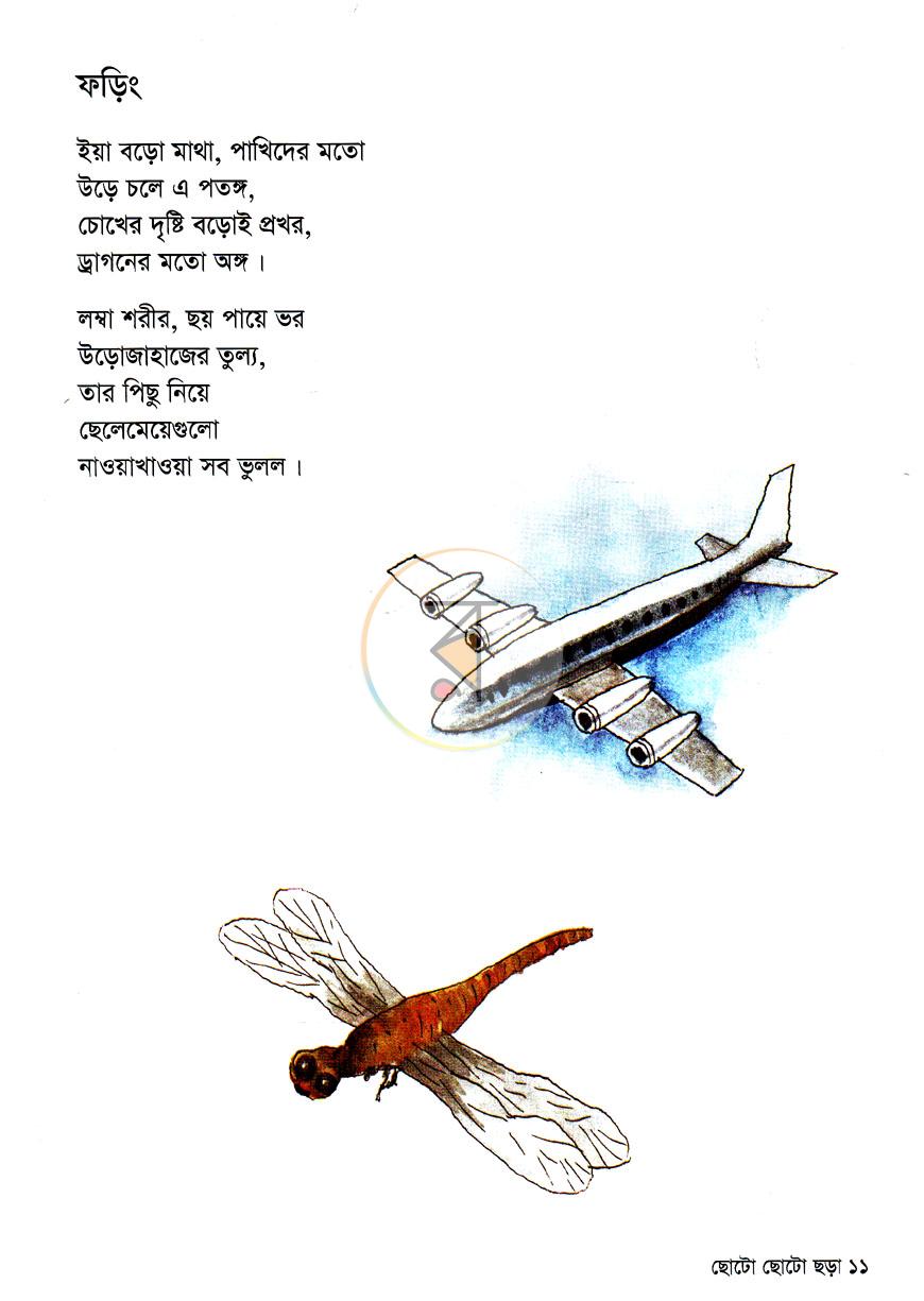 পাতা 6