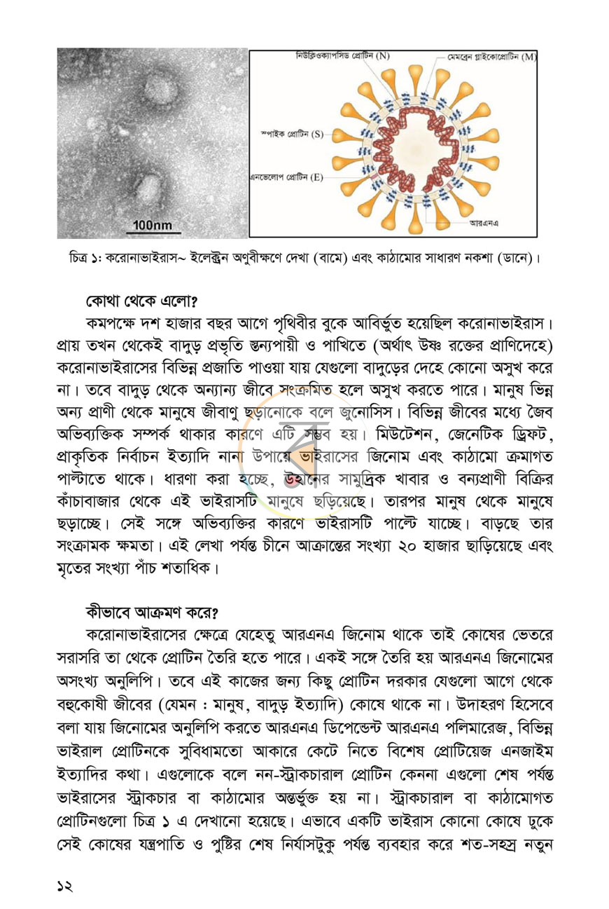 পাতা 6