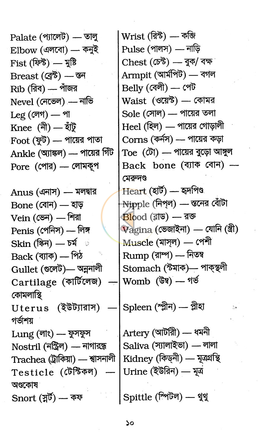 পাতা 6