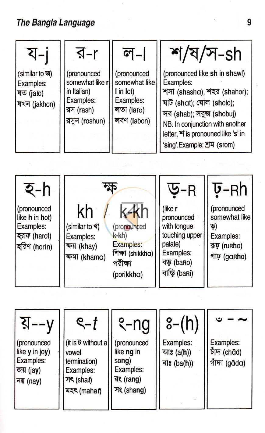 পাতা 11