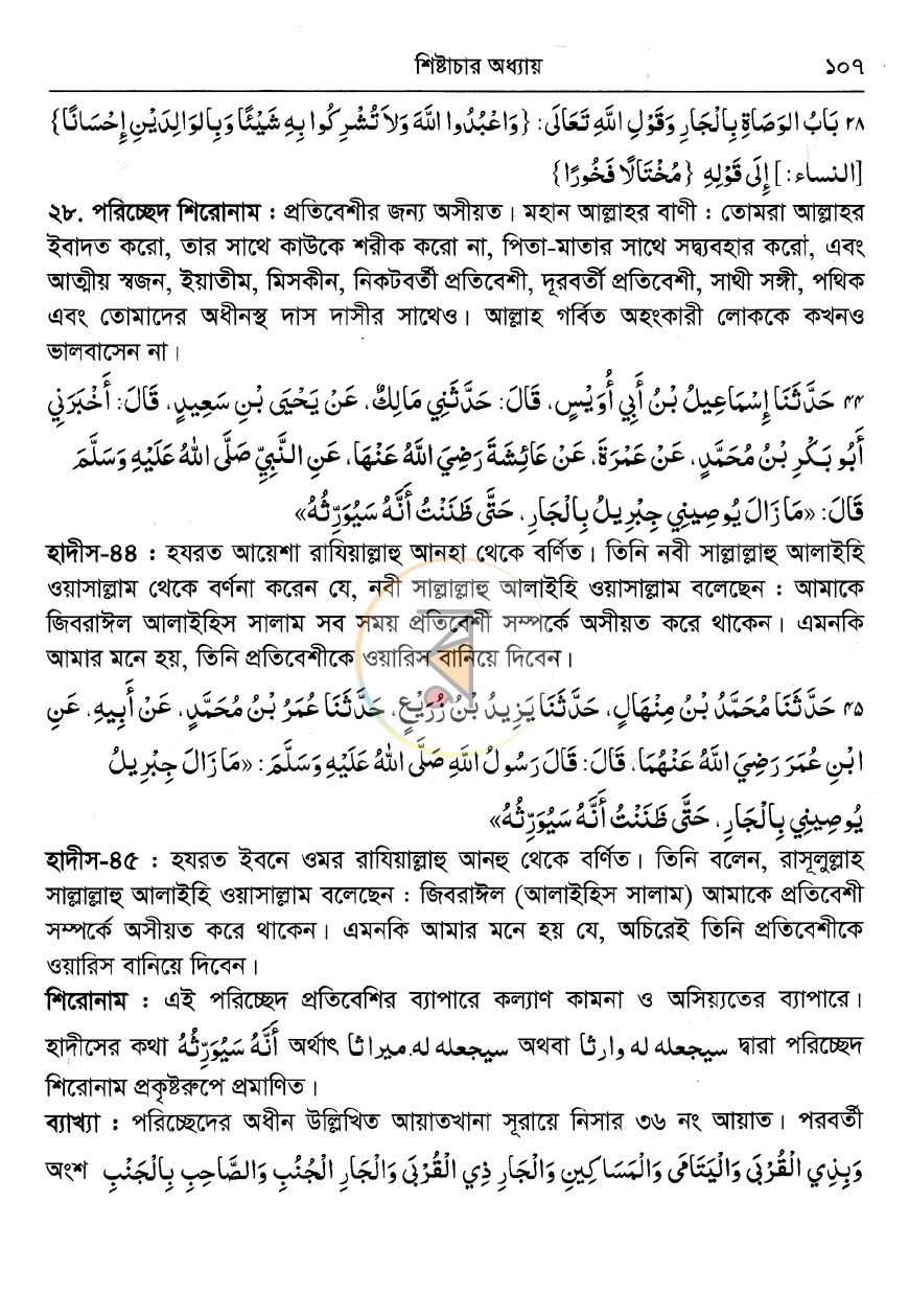 পাতা 13