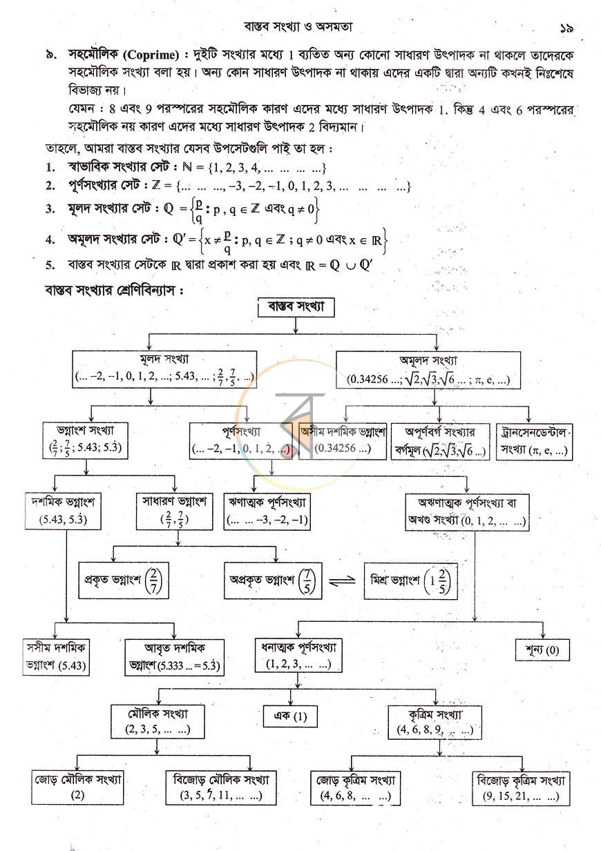 পাতা 13