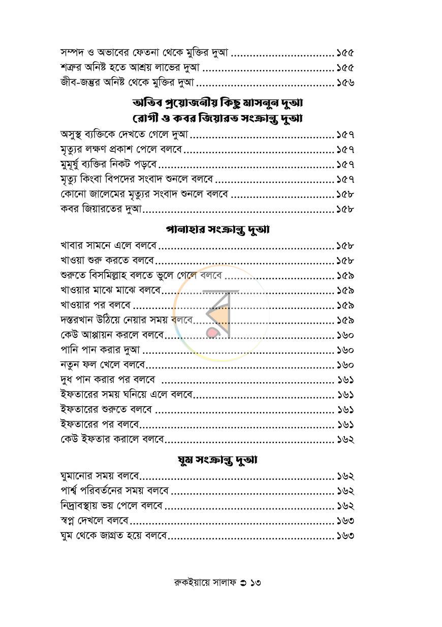 পাতা 13